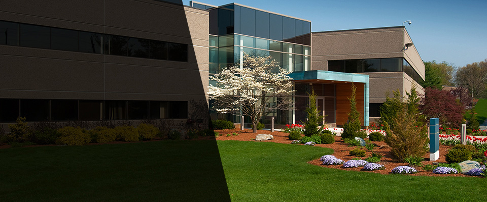 Somerdale Landscapers