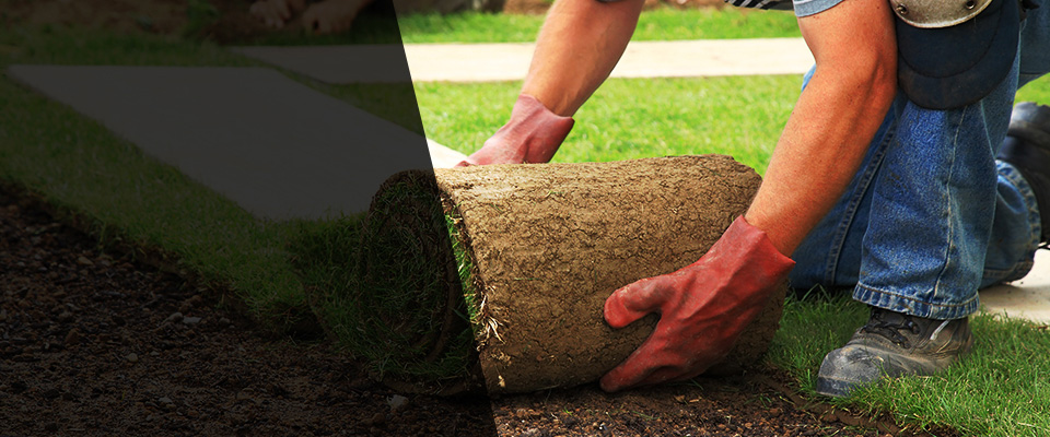 Somerdale Landscapers